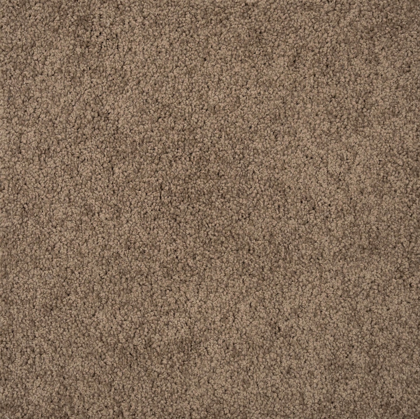 Tectonic carpet