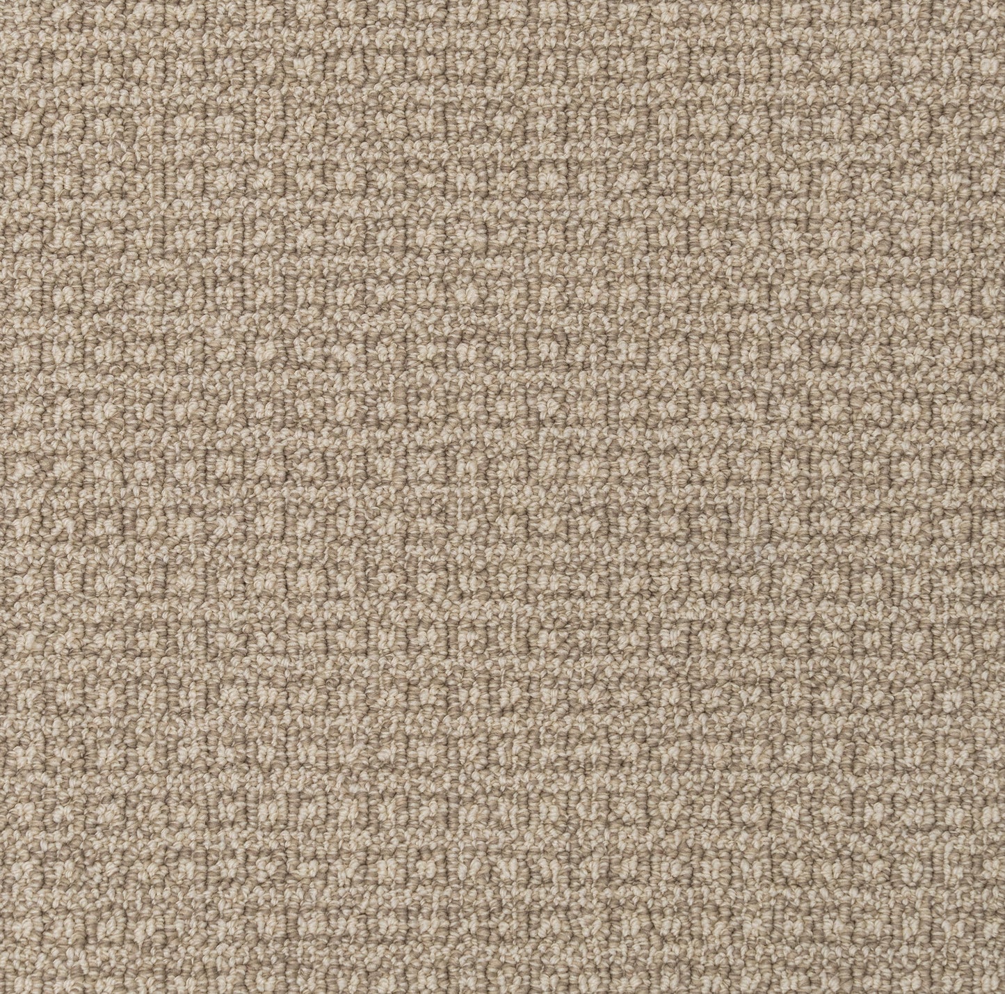 Regalia Carpet: A loop neutral tone carpet bedroom carpet, living room carpet, basement carpet, or office carpet