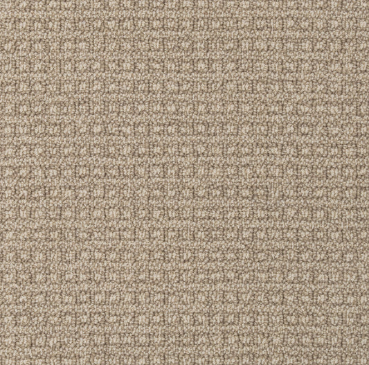 Regalia Carpet: A loop neutral tone  carpet bedroom carpet, living room carpet, basement carpet, or office carpet