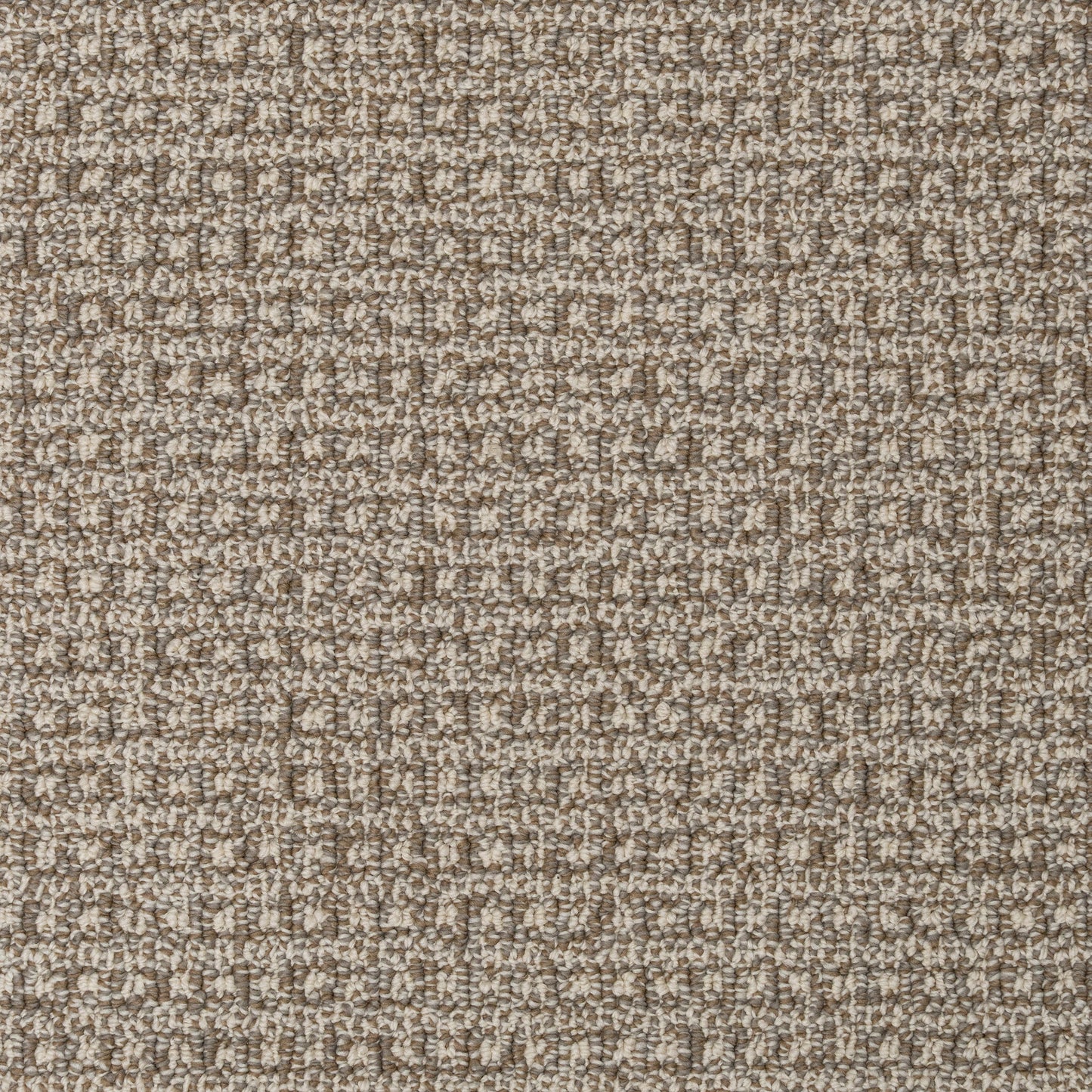Regalia Pet-friendly Carpet. Neutral tones rug for the basement, living room, bedroom or office