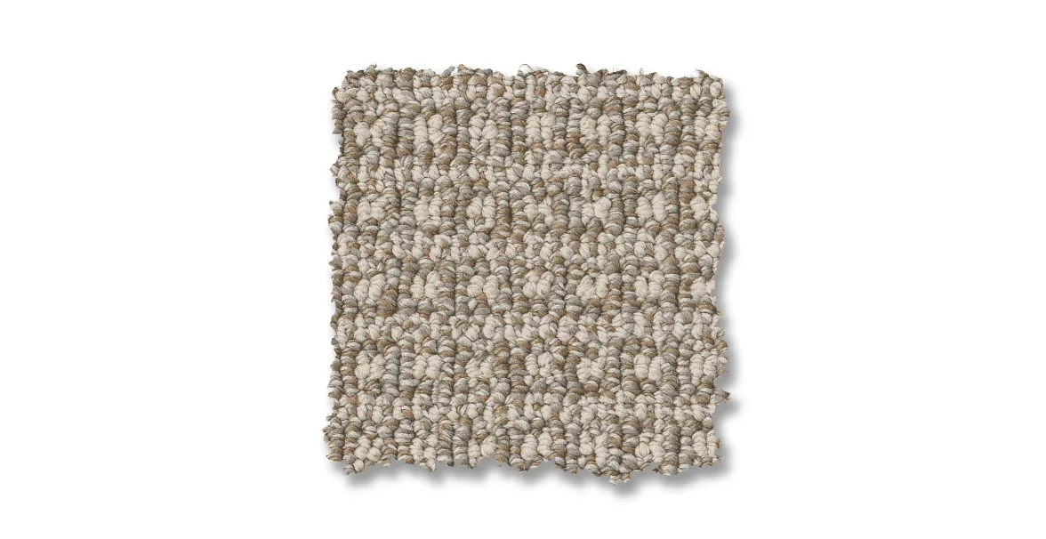 Regalia Pet-friendly Carpet. Neutral tones rug for the basement, living room, bedroom or office