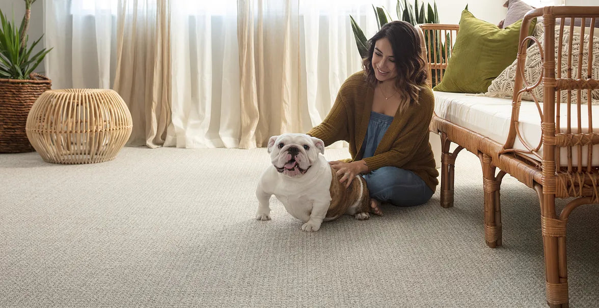 Reglia pet-friendly carpet