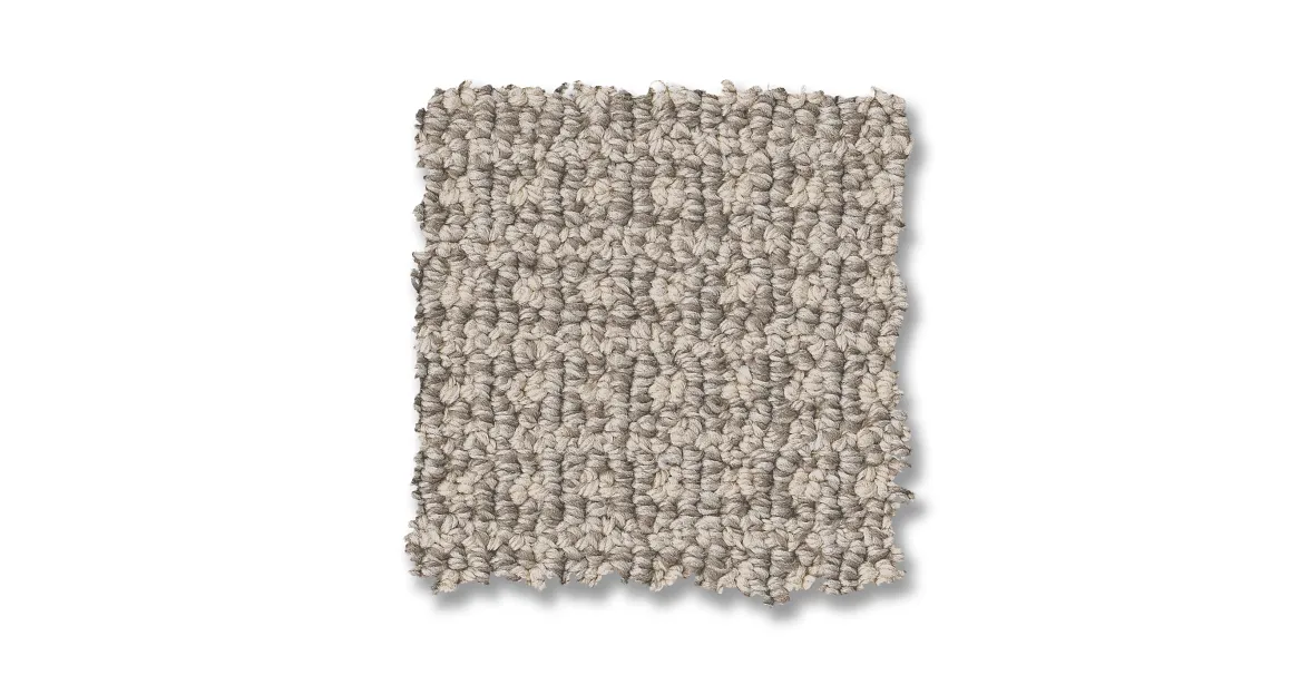 Regalia Silver Cloud Carpet. Contemporary carpet Home Carpet One Chicago