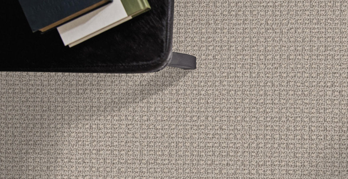 Regalia Carpet Cold Beige Carpet Modern Office, Living Room, Bedroom or Basement Carpet. Eco-friendly, Pet-friendly Carpet