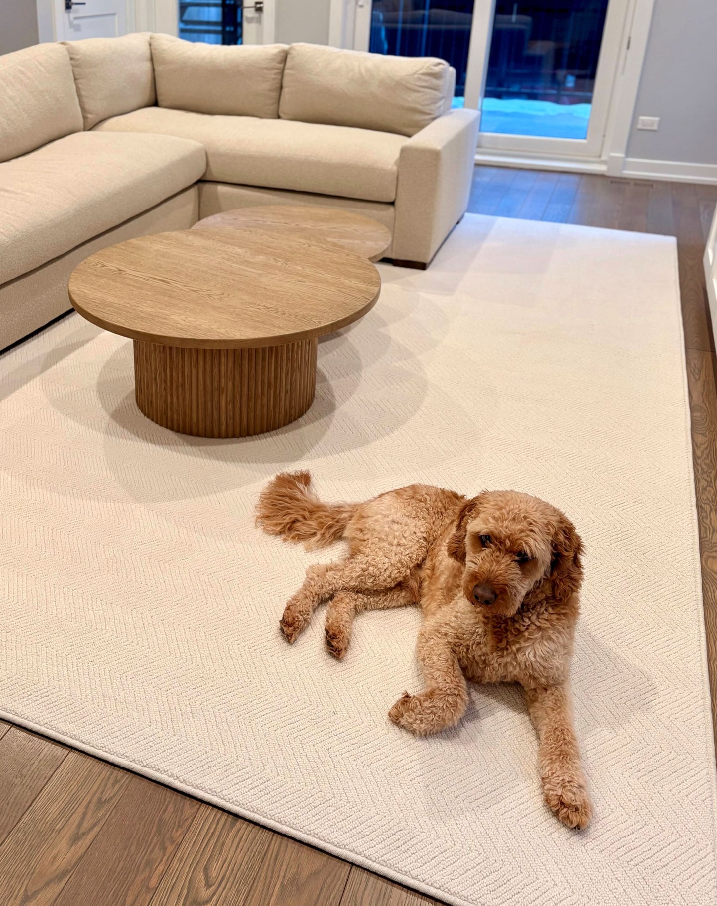 Chic Sophistication carpet