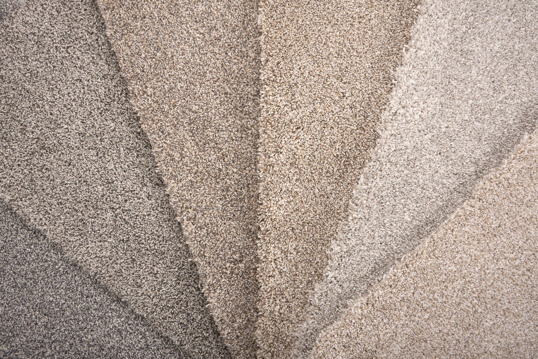 Brighton carpet