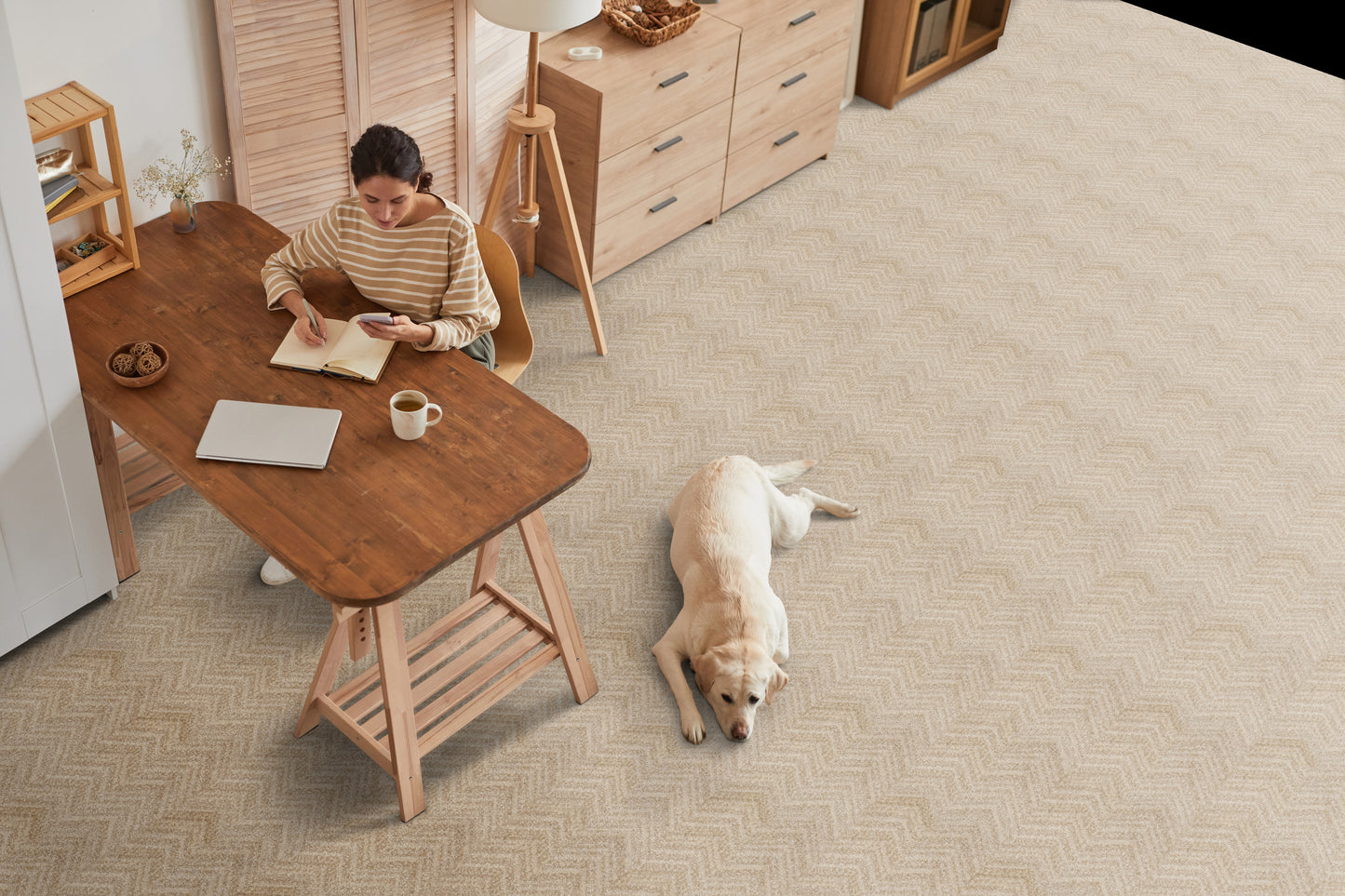 Cozy, modern space decorated with et-friendly contemporary chevron beige carpet
