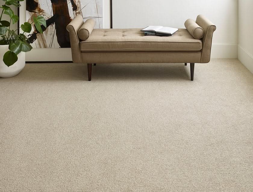 Purrfection carpet
