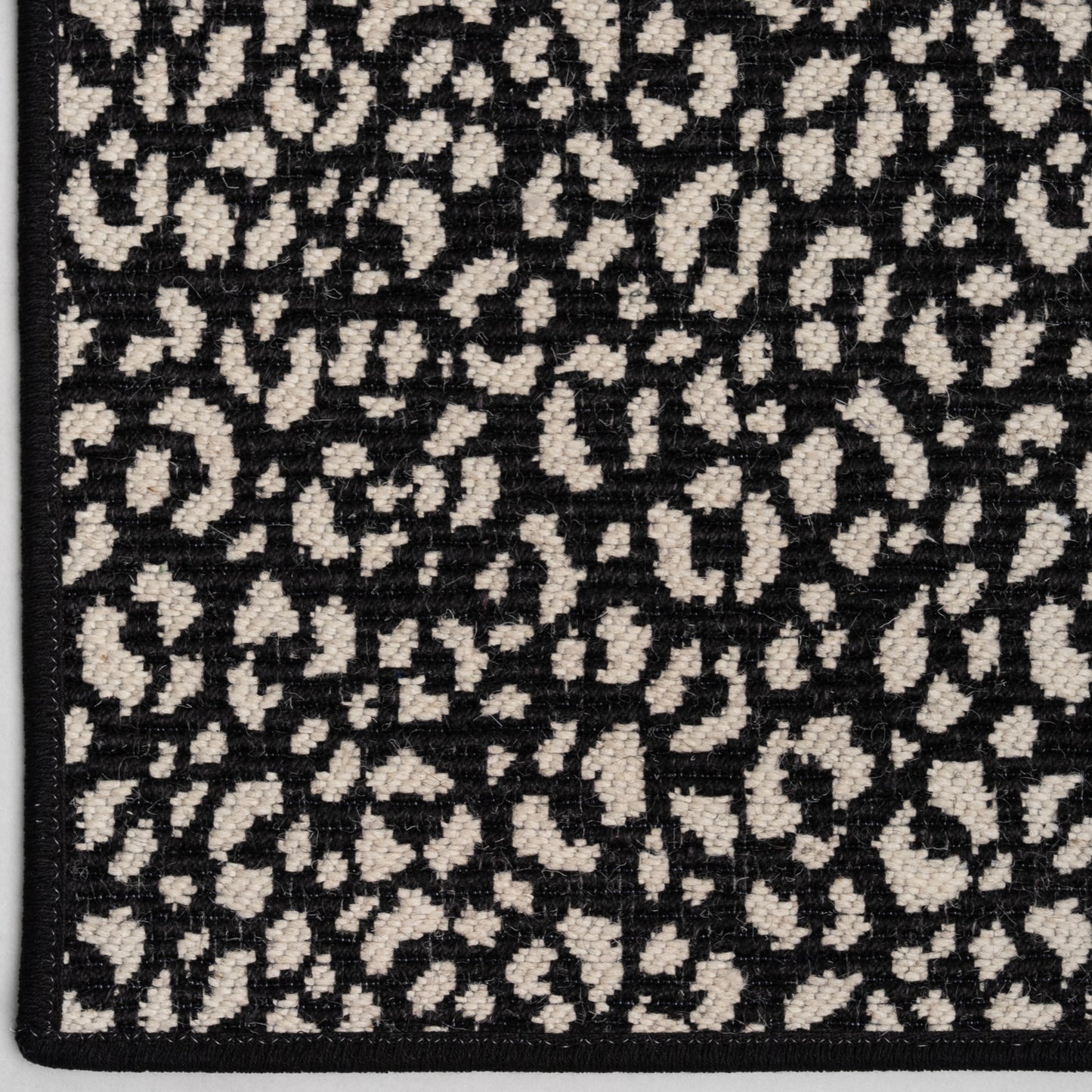 Savoy Leopard