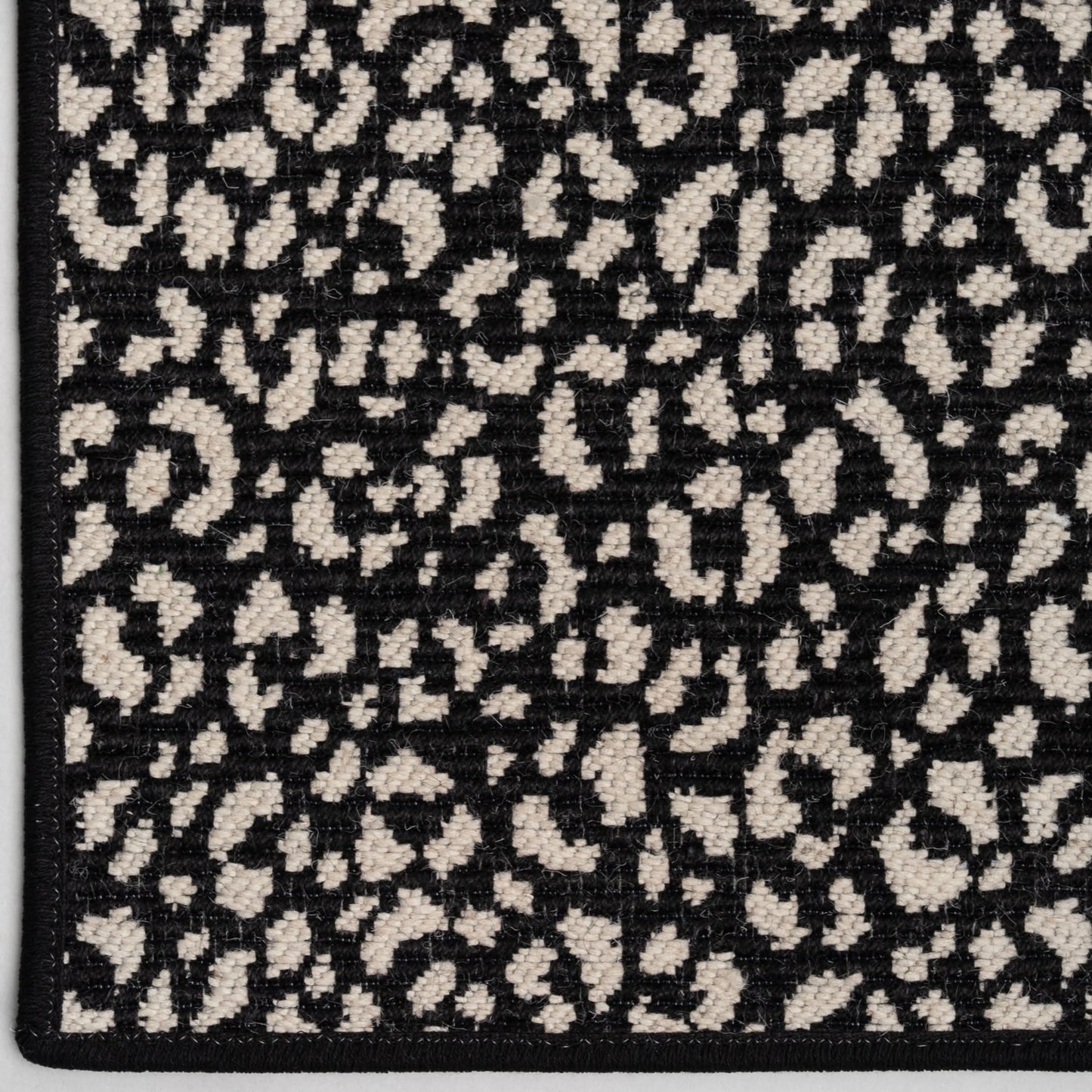 Savoy Leopard
