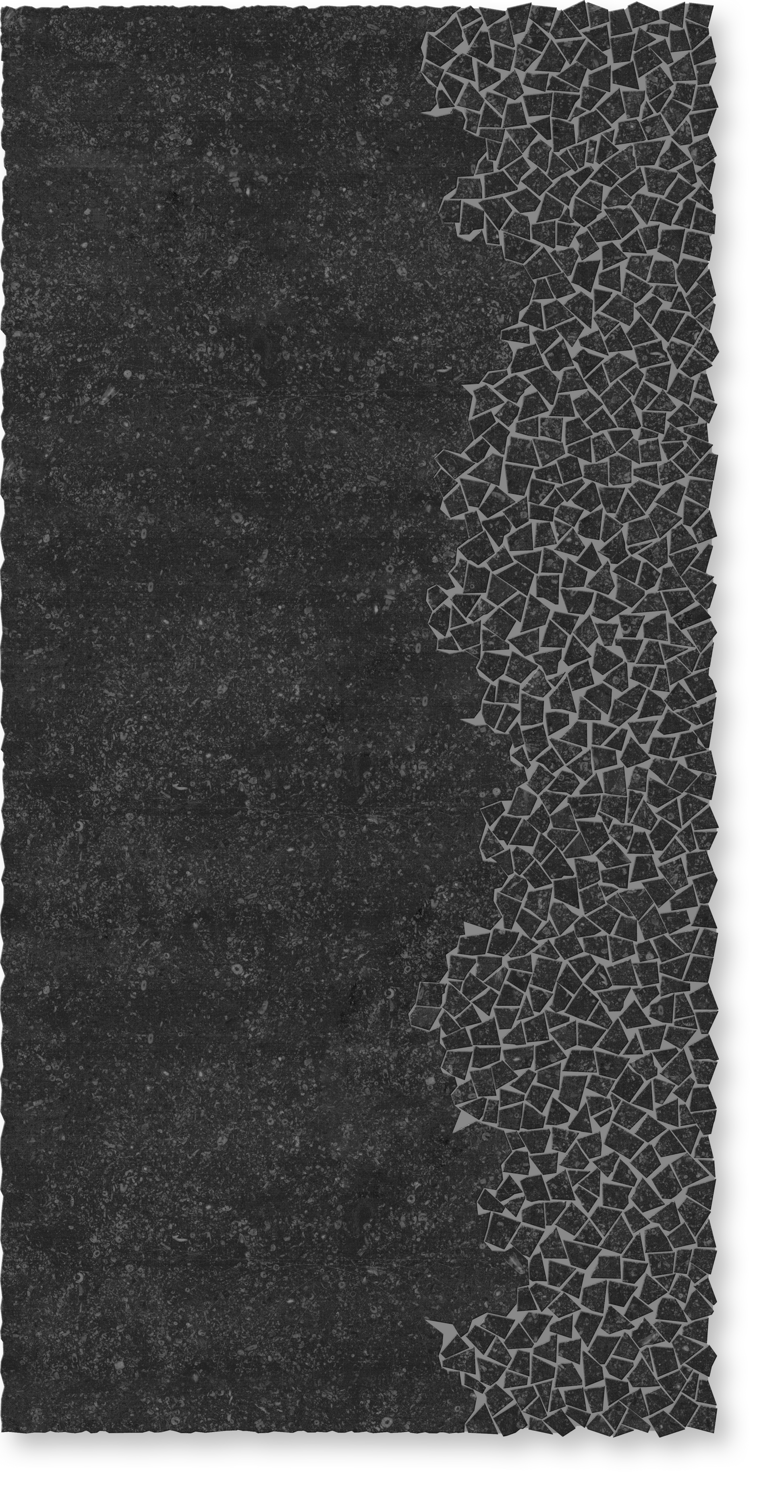 Canyon Black Marble Mosaic Field Tile