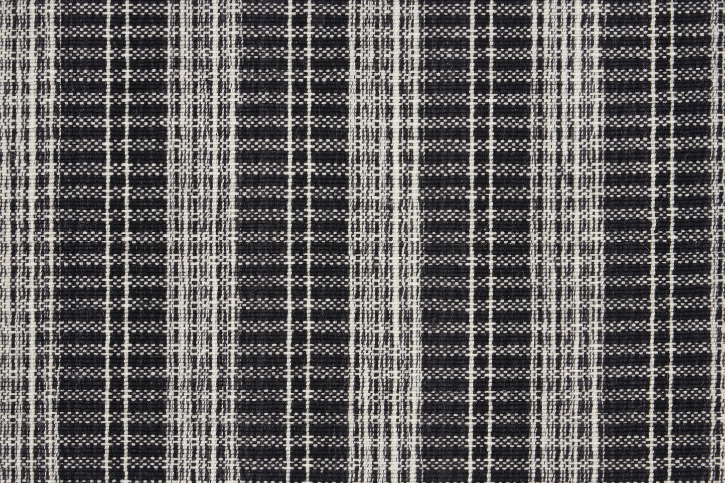 Carolina Stripe