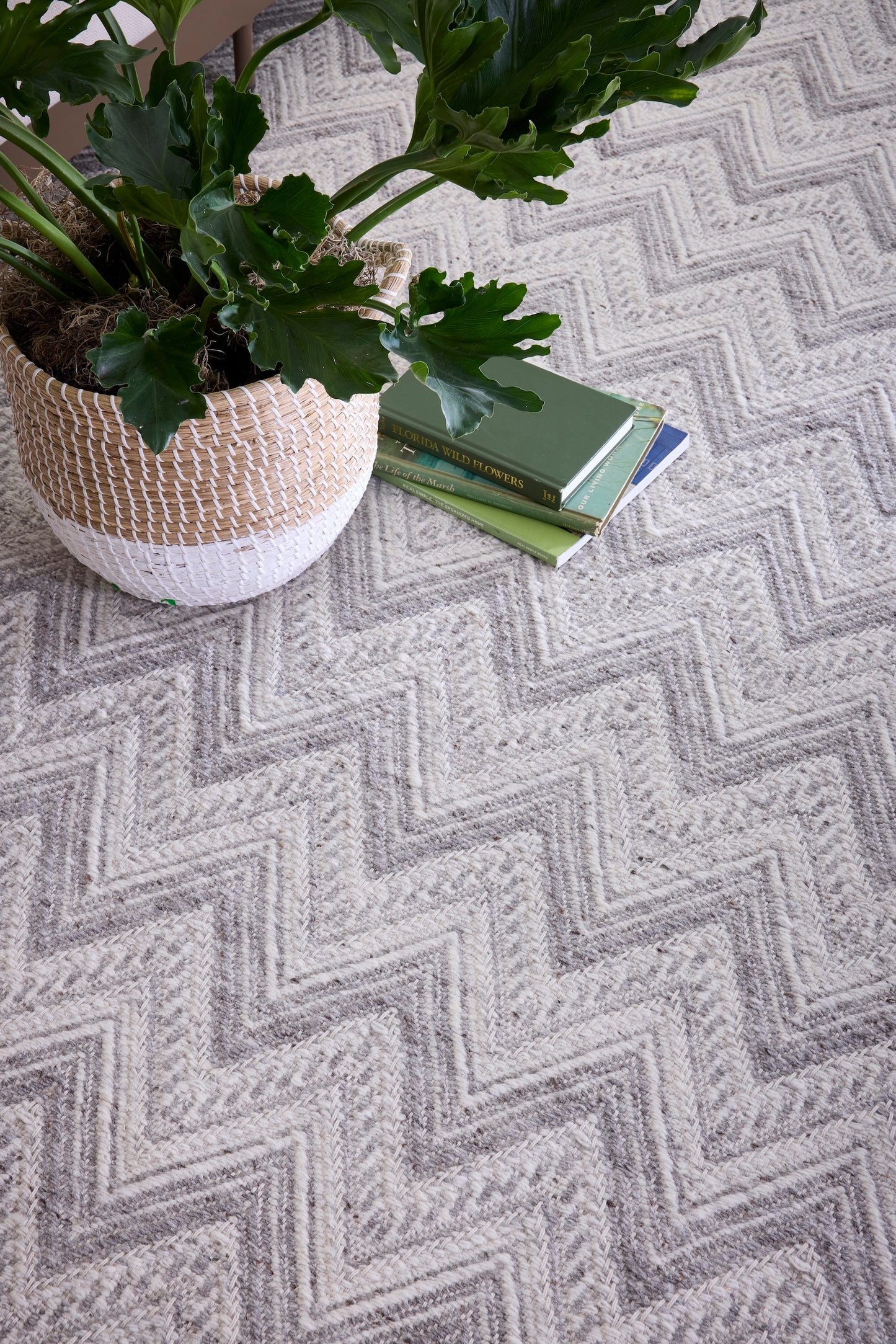 Casavola Chevron