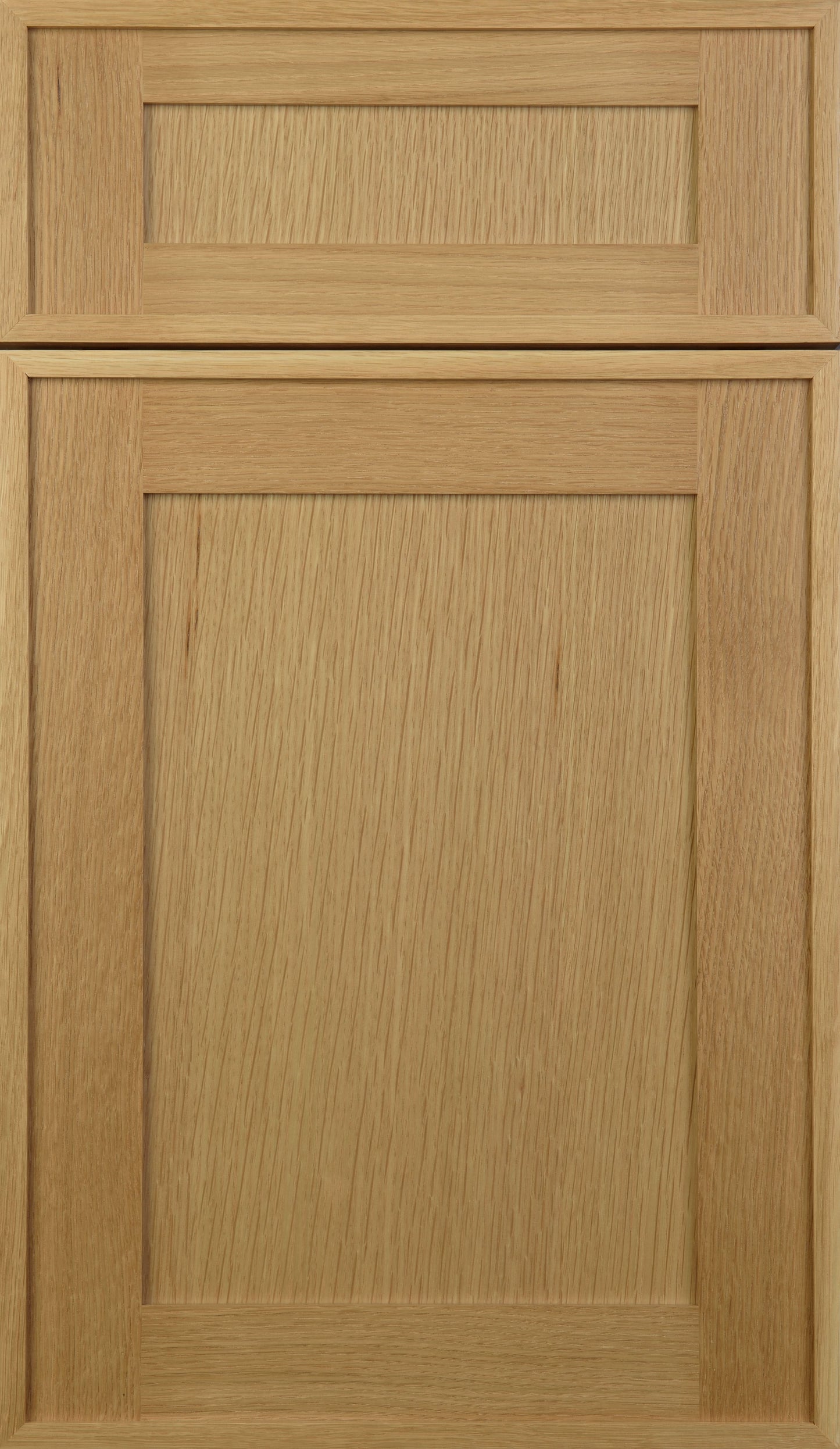 Montauk Oak