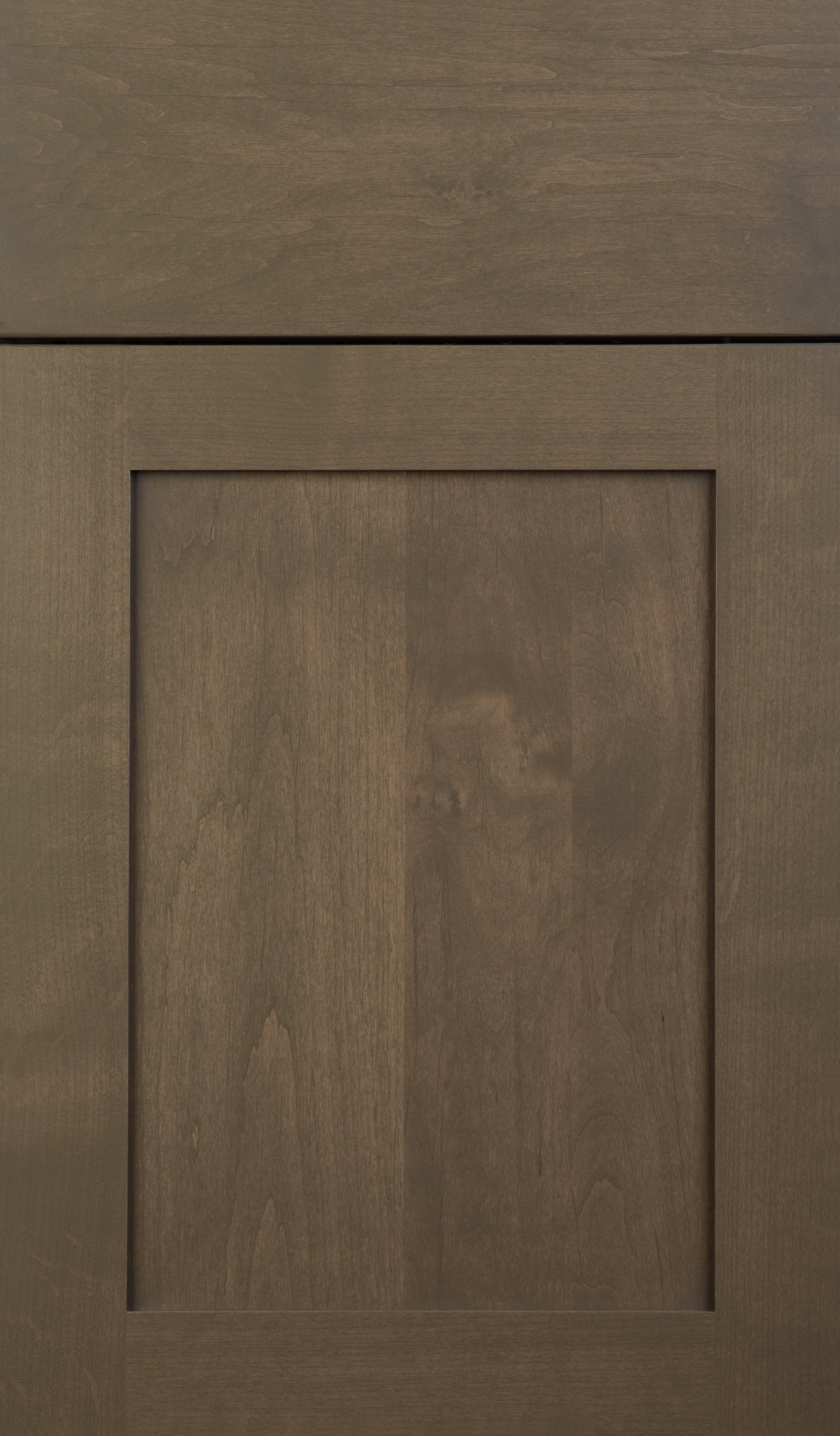 Quaker Alder