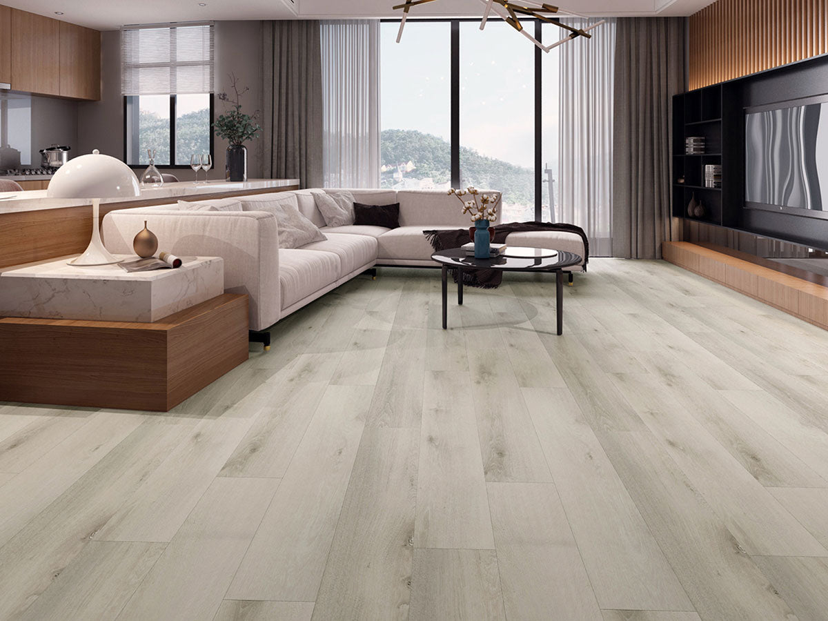 Contemporary rugs from Home Carpet One.