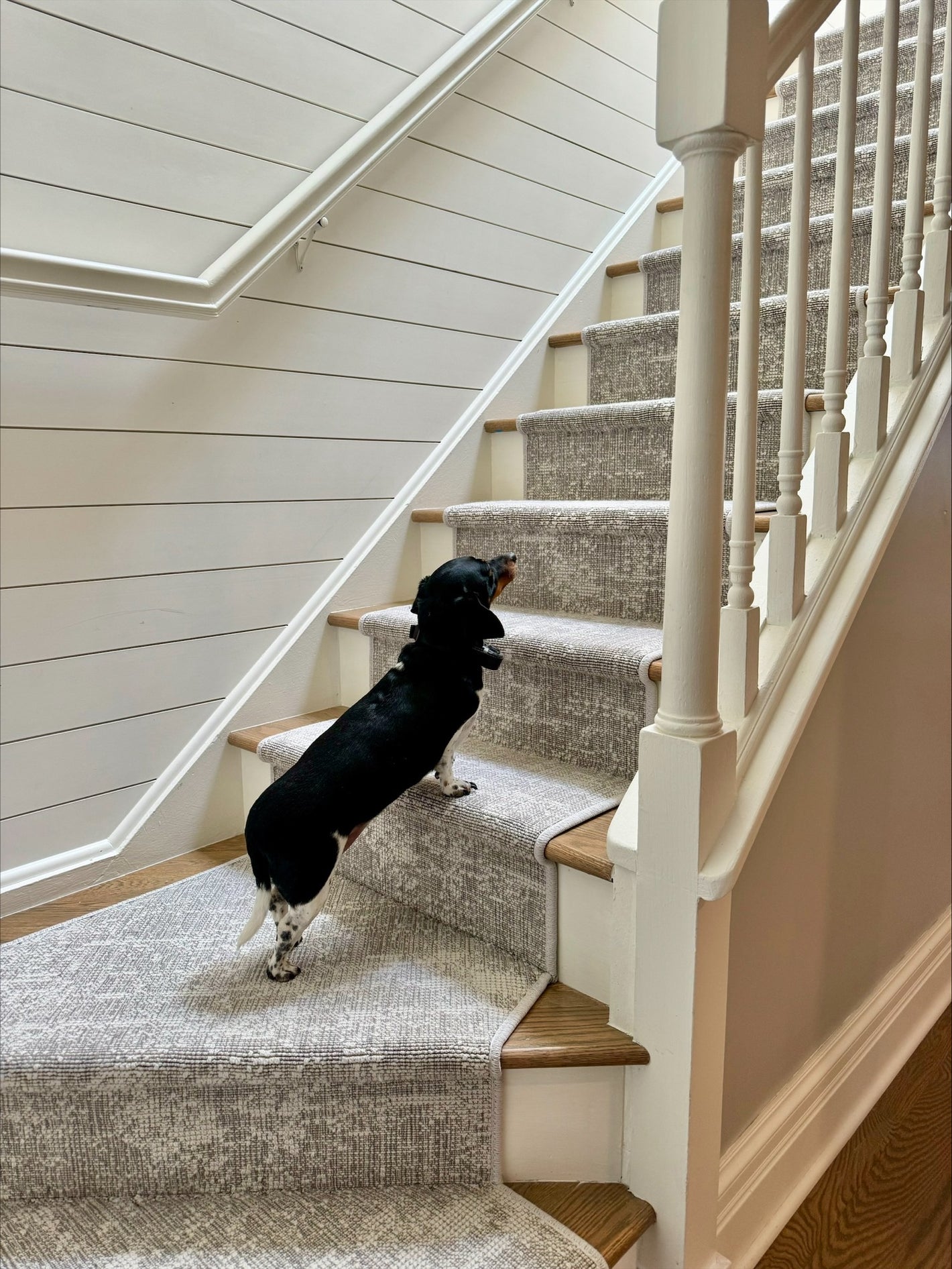 Stair Runner Installation