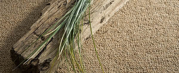 Eco-Friendly Carpeting Solutions in Chicago!