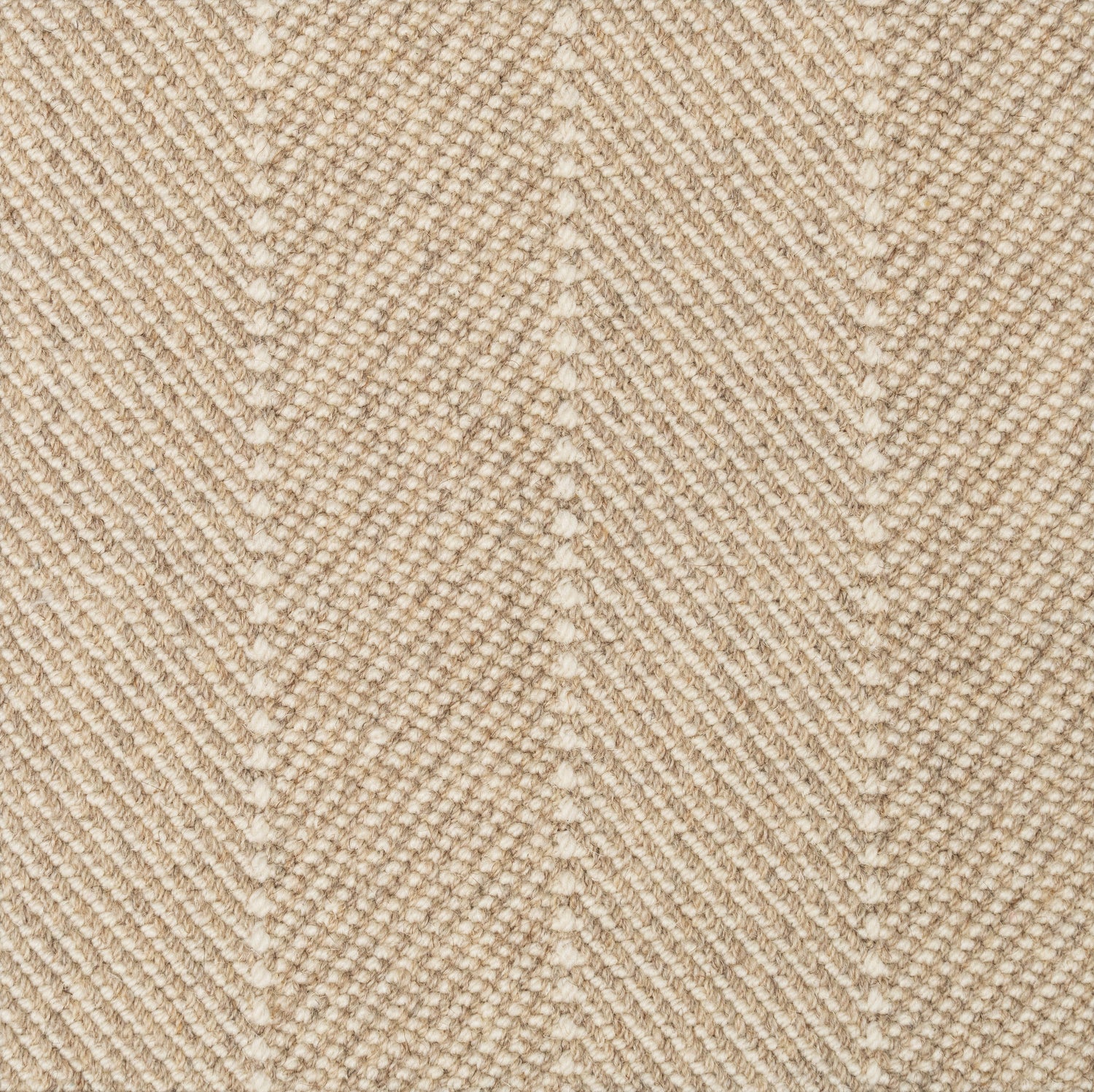 New & trending carpet