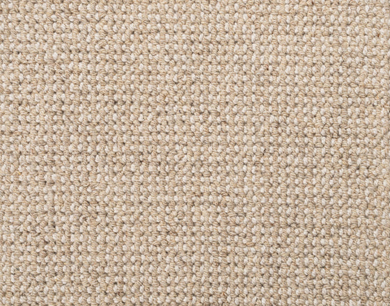 New & trending carpet