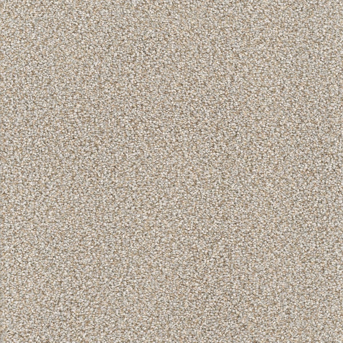 Prodigy carpet
