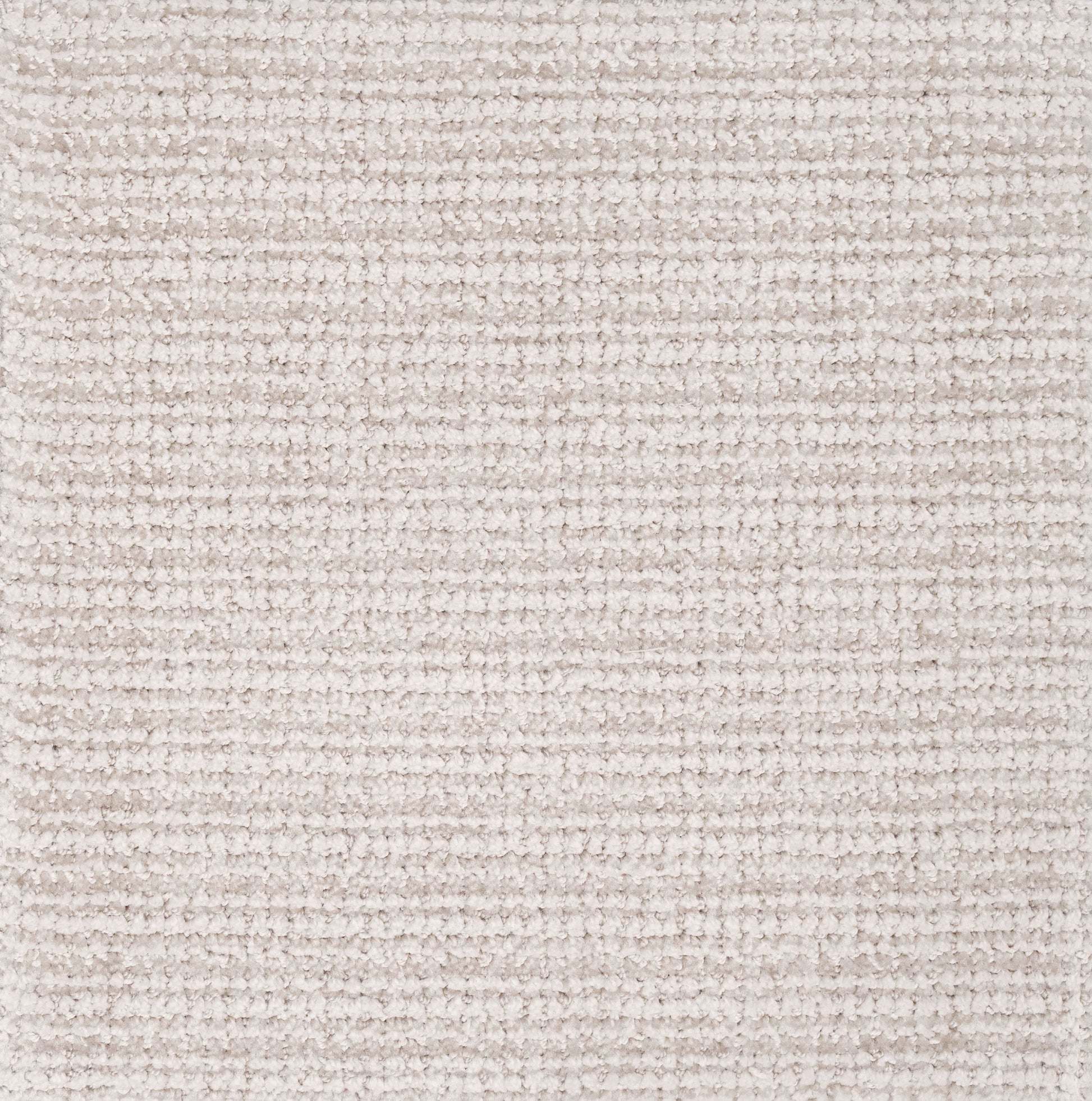 Beguiling carpet – Home Carpet One