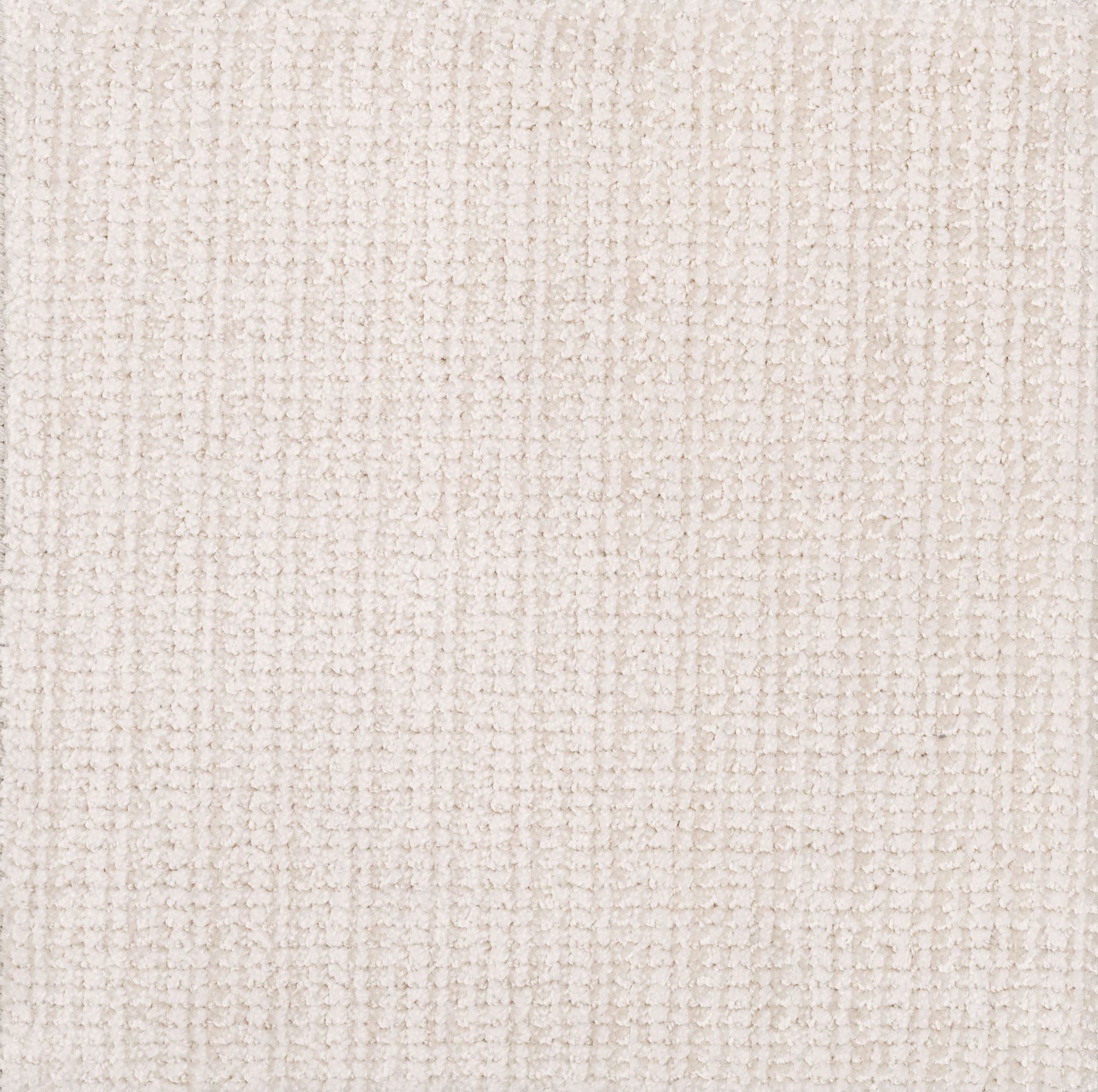 Beguiling carpet – Home Carpet One