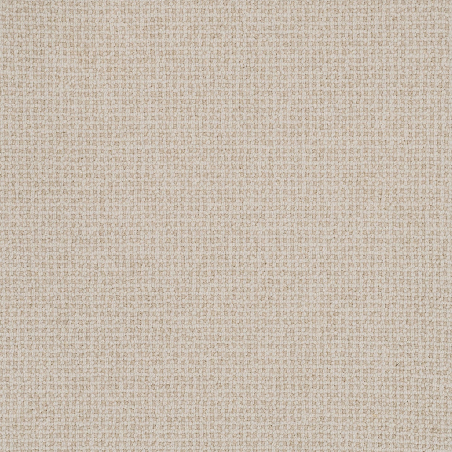 French Knot carpet