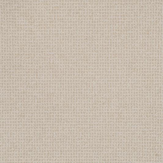 French Knot carpet