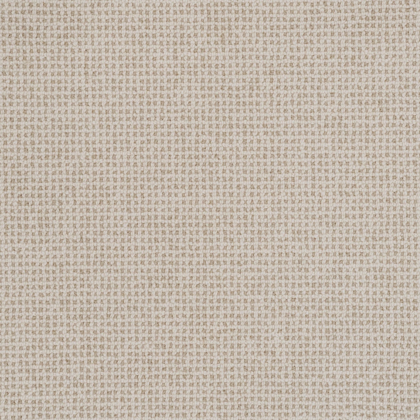 French Knot carpet