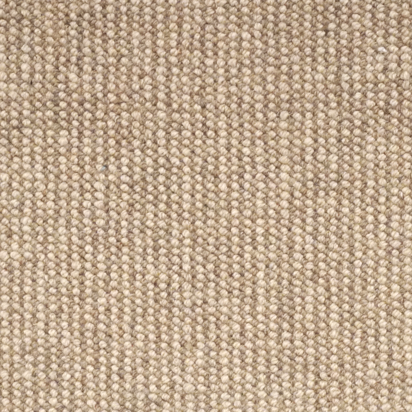 Chase carpet