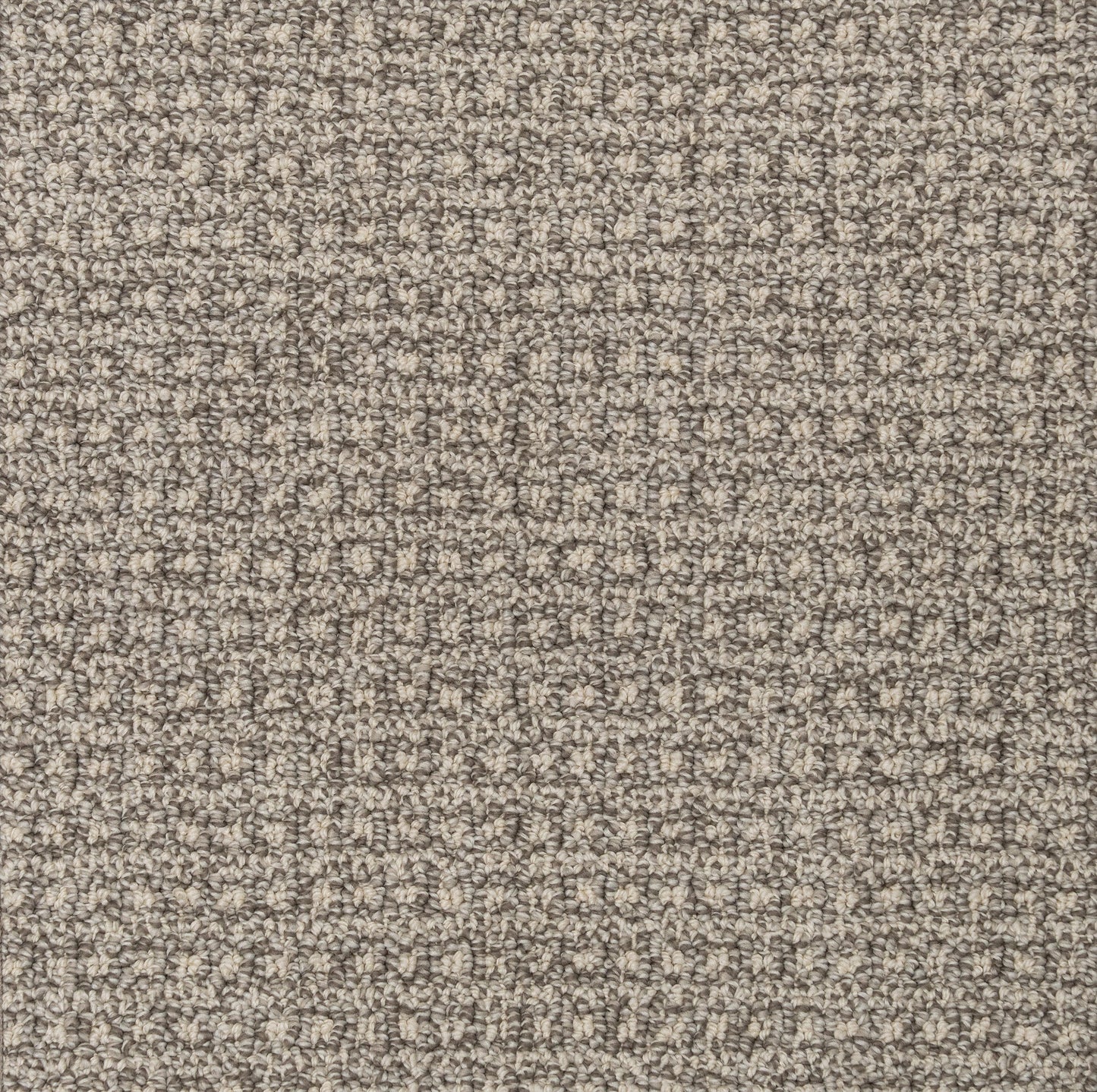 Regalia Silver Cloud Carpet. Contemporary carpet Home Carpet One Chicago