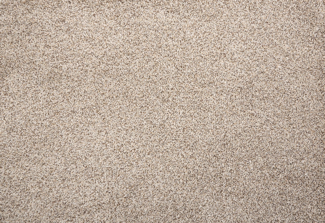 Brighton carpet