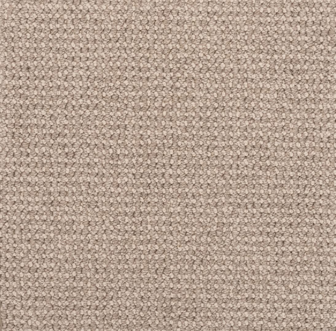 Purrfection carpet